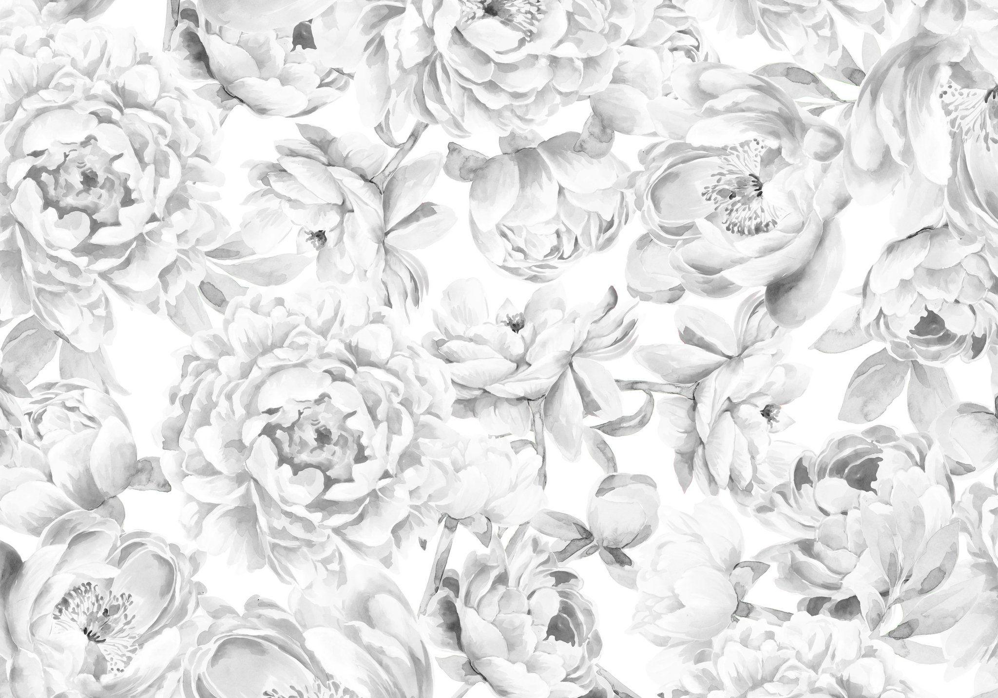 Black and White Peony Wallpapers Top Free Black and White Peony