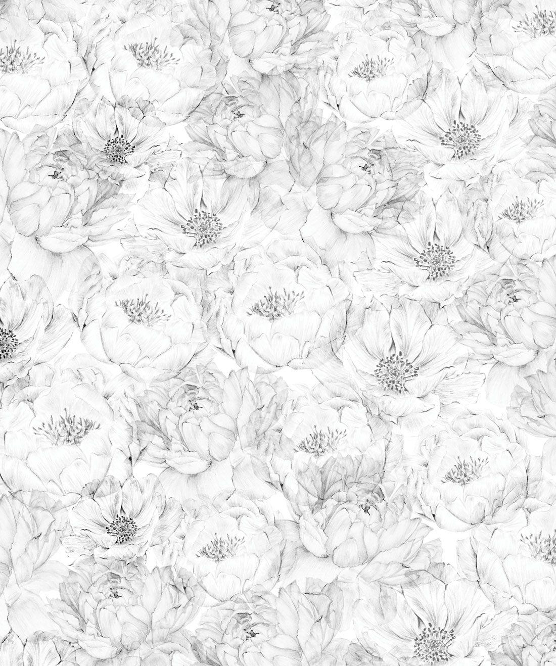Black and White Peony Wallpapers Top Free Black and White Peony