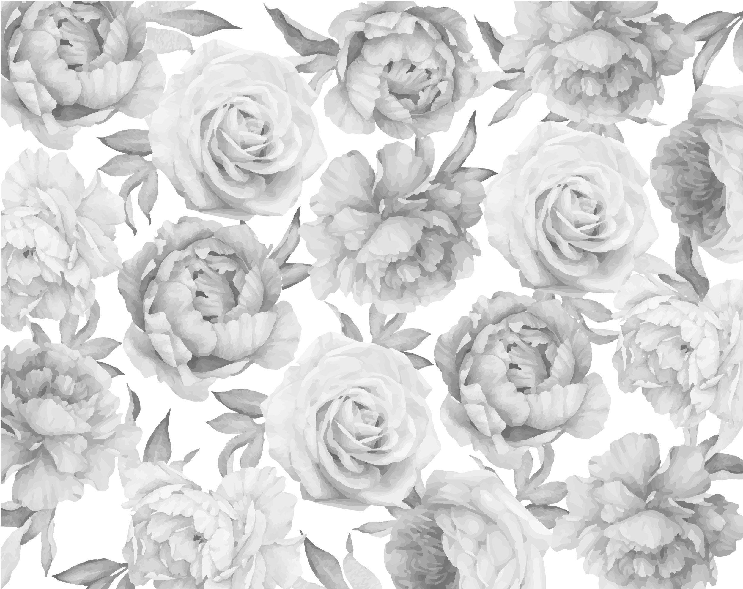 Black and White Peony Wallpapers Top Free Black and White Peony