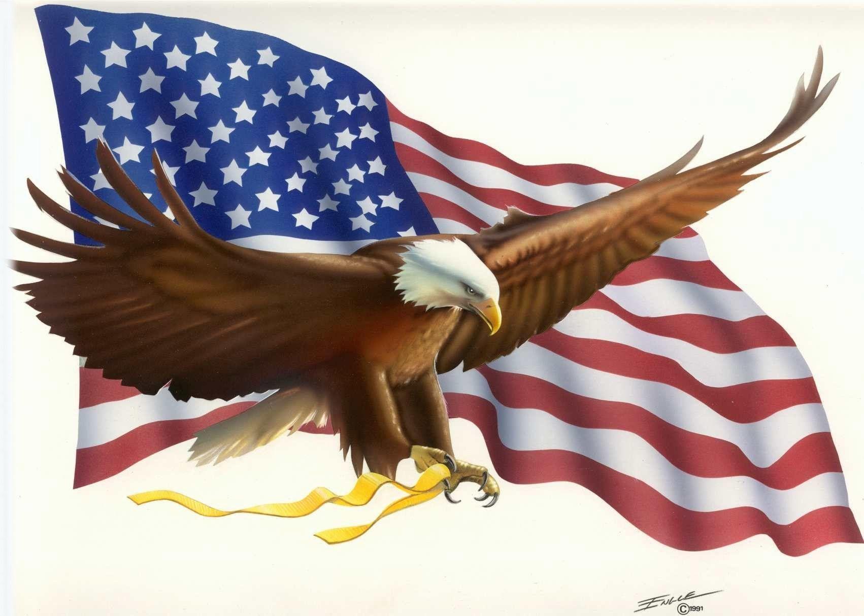 Veterans Day Eagle Wallpapers Top Free Veterans Day Eagle Backgrounds WallpaperAccess