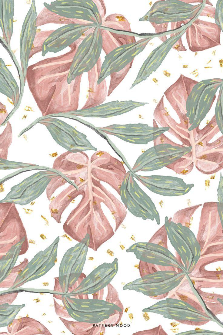 Monstera Wallpapers Top Free Monstera Backgrounds WallpaperAccess