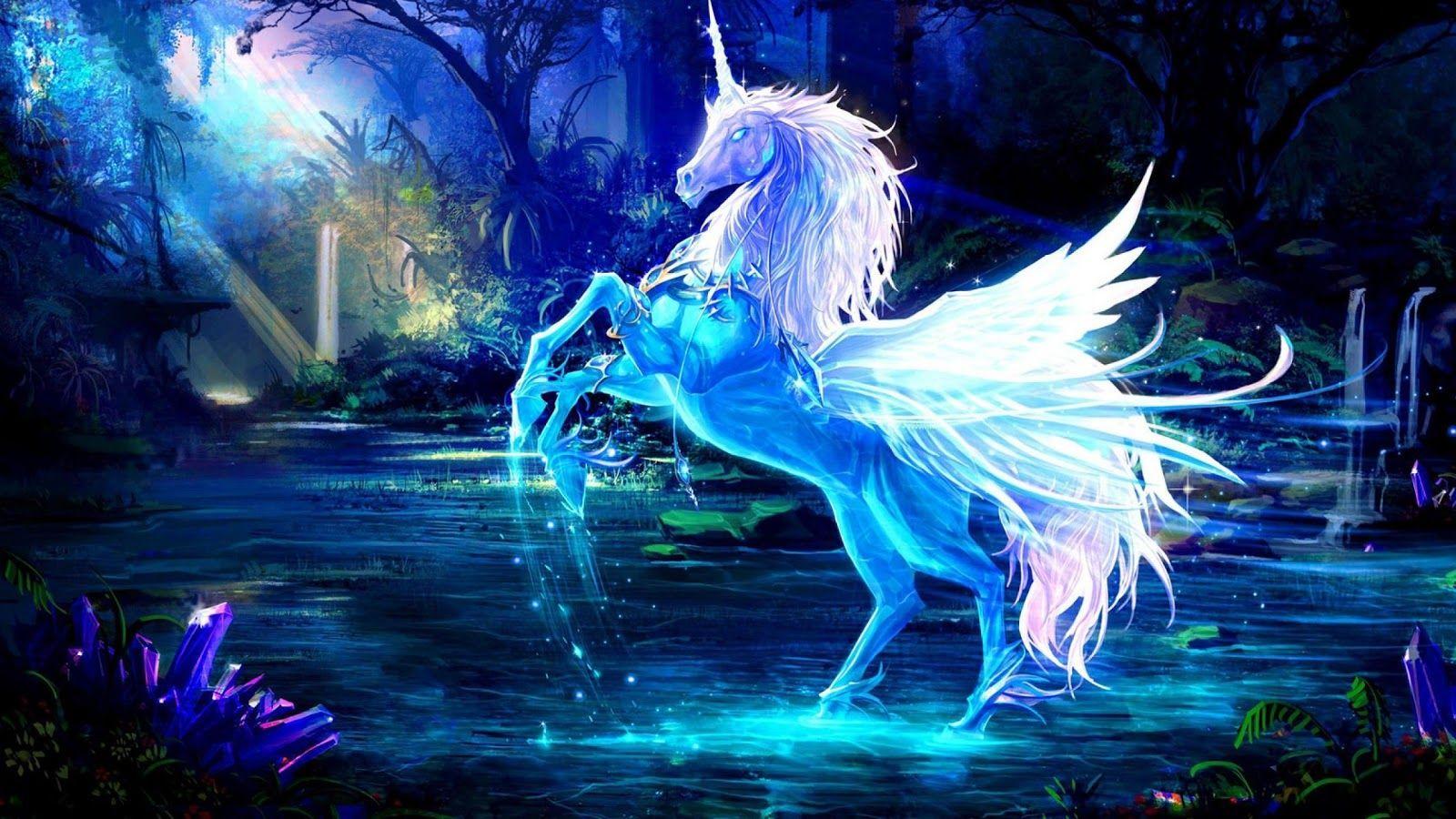 Real Unicorn Wallpapers Top Free Real Unicorn Backgrounds