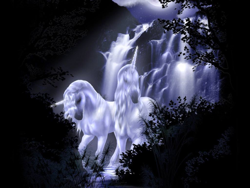 Real Unicorn Wallpapers Top Free Real Unicorn Backgrounds WallpaperAccess
