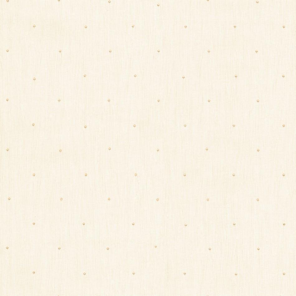 Ivory Colour Background