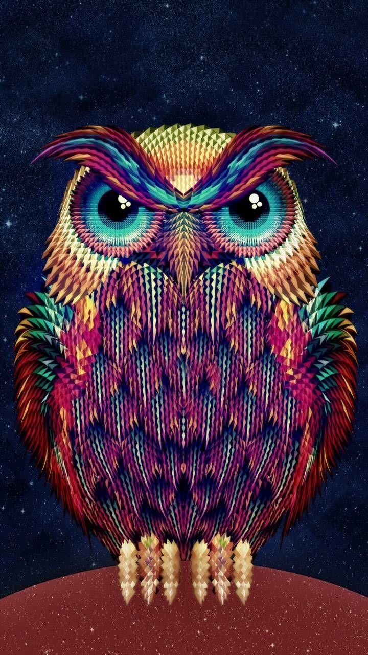 Owl Artwork Wallpapers Top Free Owl Artwork Backgrounds WallpaperAccess