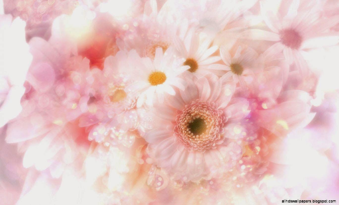 Cute Pink Flower Wallpapers Top Free Cute Pink Flower Backgrounds