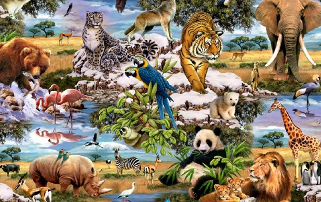 Jungle Animals Wallpapers Top Free Jungle Animals Backgrounds