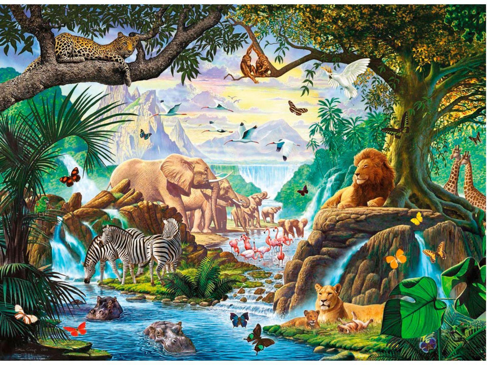 Jungle Animals Wallpapers Top Free Jungle Animals Backgrounds