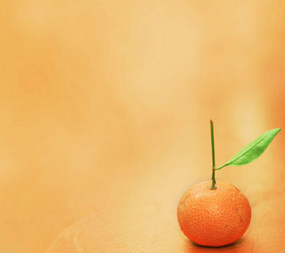 Cute Orange Wallpapers Top Free Cute Orange Backgrounds WallpaperAccess