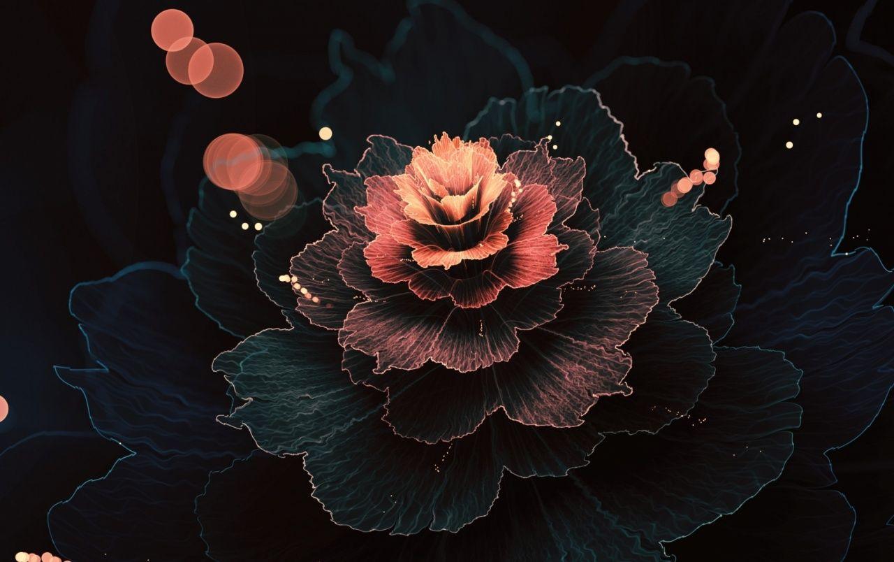 Abstract Rose Wallpapers Top Free Abstract Rose Backgrounds WallpaperAccess