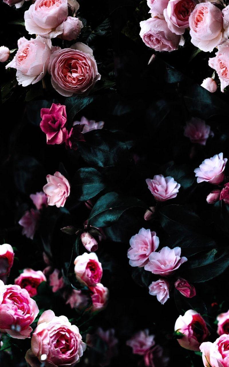 iPhone Black Flower Wallpapers Top Free iPhone Black Flower