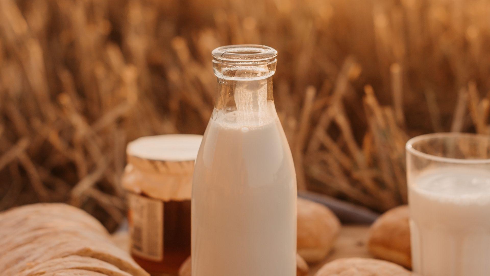 Milk HD Wallpapers Top Free Milk HD Backgrounds WallpaperAccess