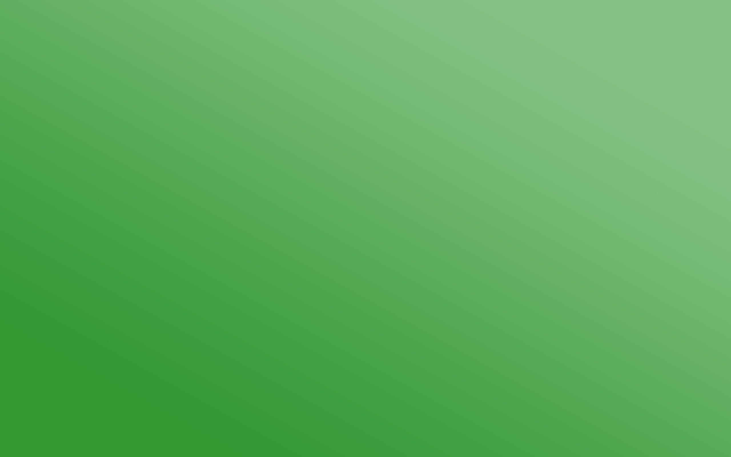 Solid Green Wallpapers Top Free Solid Green Backgrounds WallpaperAccess