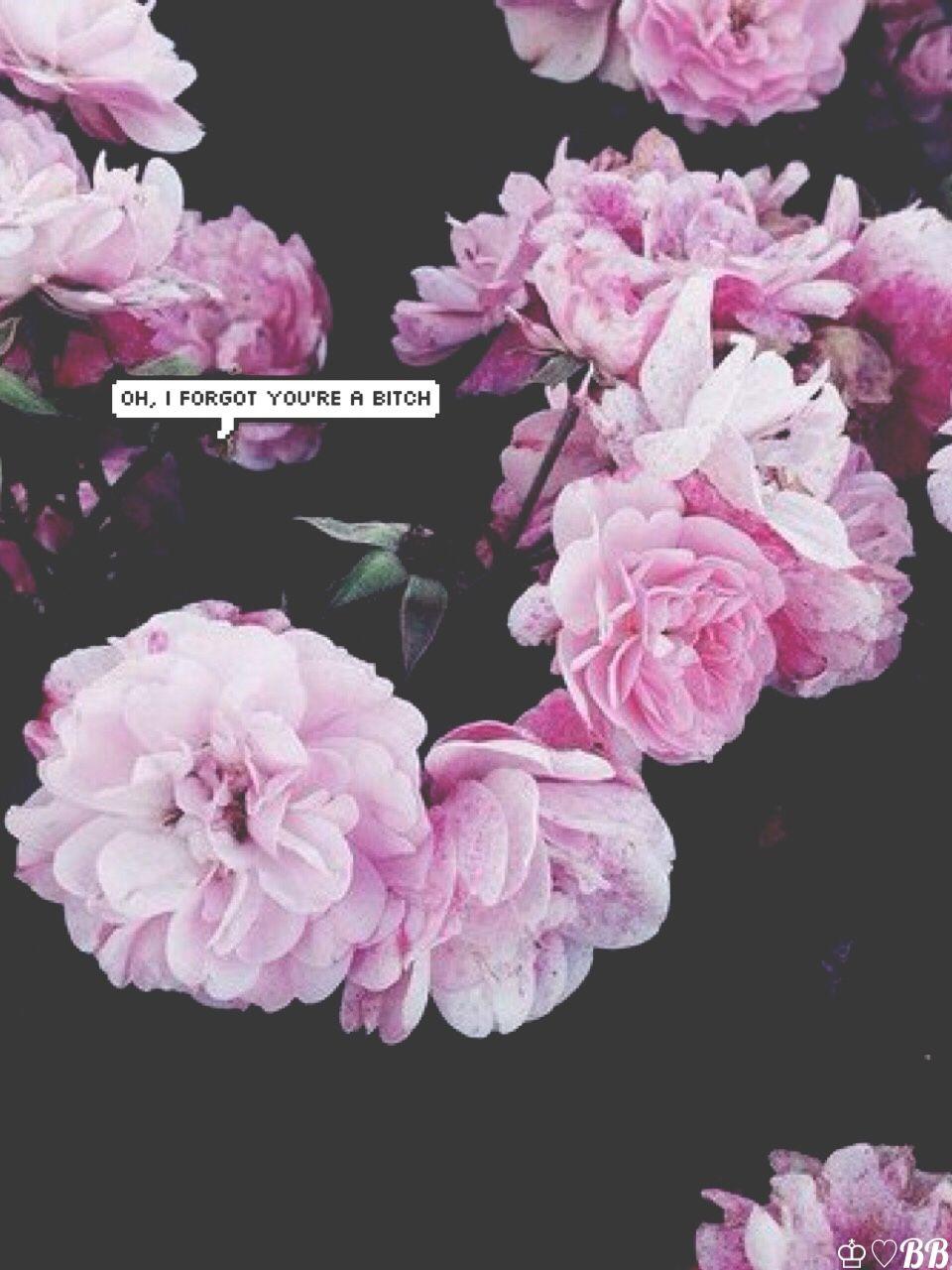 Pastel Floral iPhone Wallpapers Top Free Pastel Floral iPhone