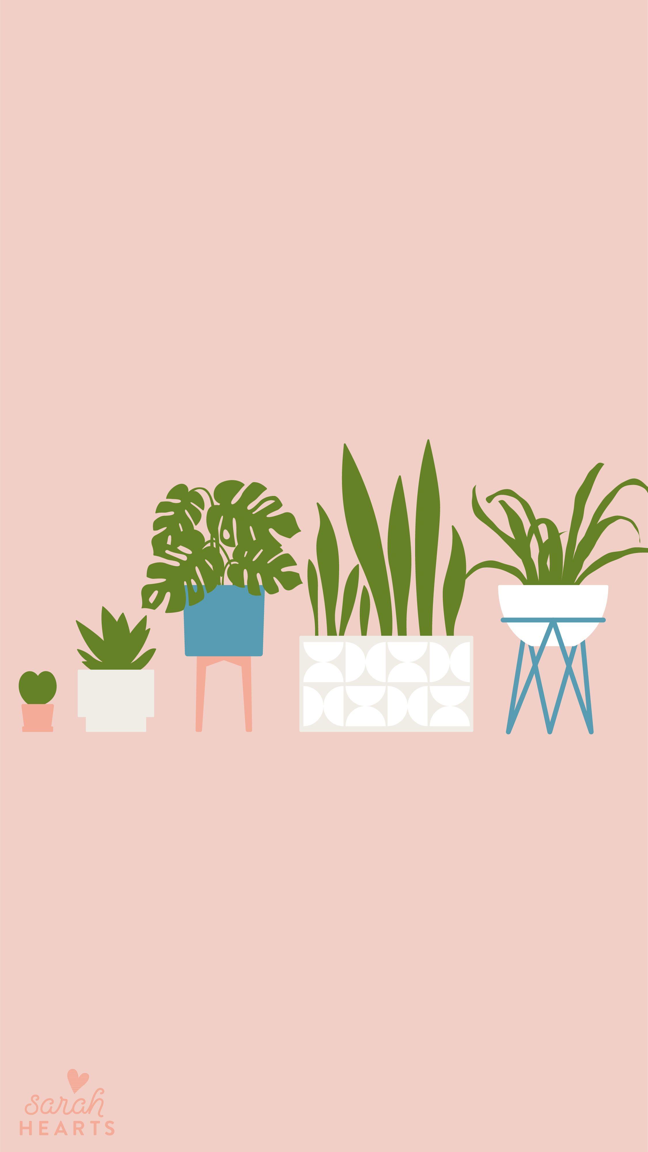 Plant iPhone Wallpapers Top Free Plant iPhone Backgrounds WallpaperAccess