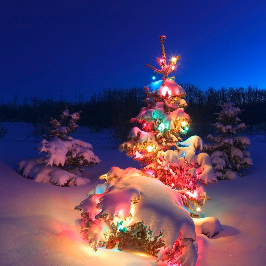 Christmas Images Wallpaper For Ipad / 25,000+ vectors, stock photos