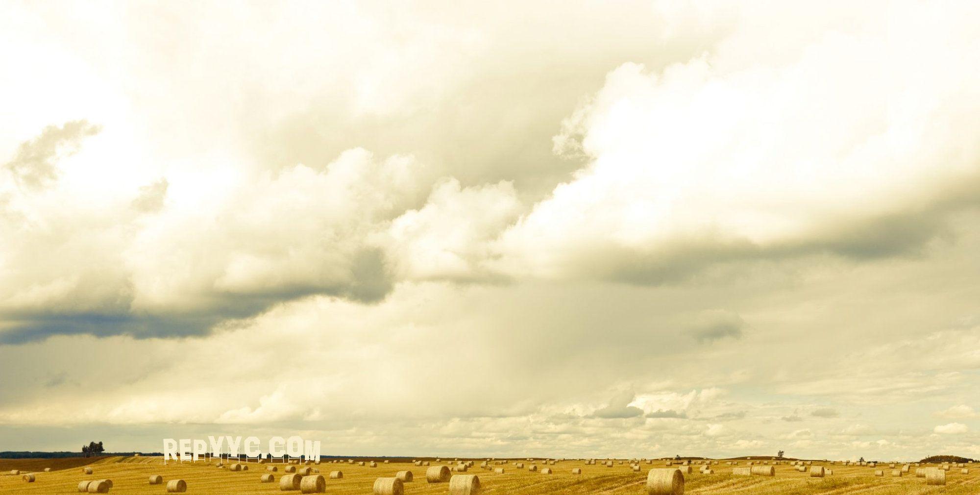 Calgary Wallpapers Top Free Calgary Backgrounds WallpaperAccess