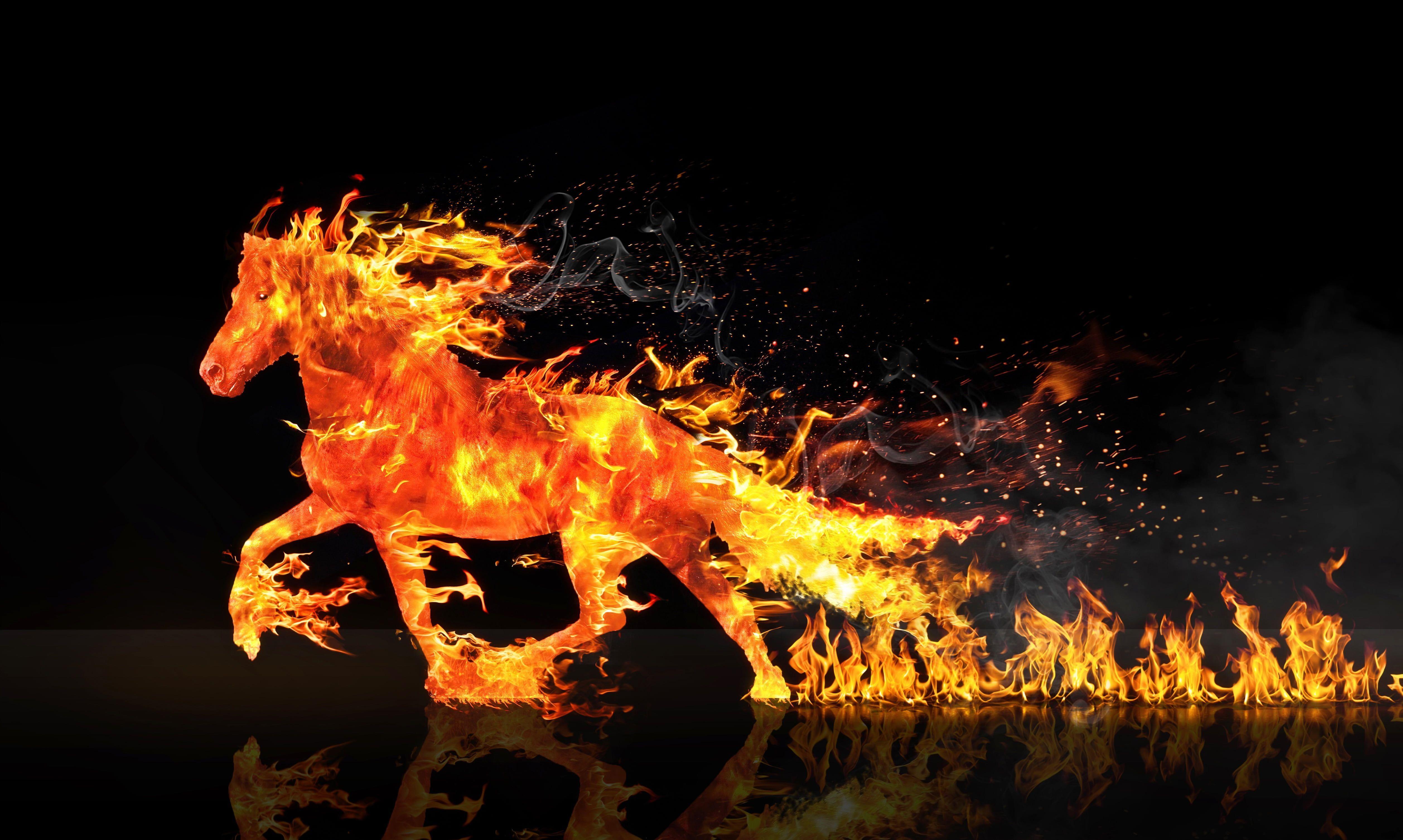 Fire Horse Wallpapers Top Free Fire Horse Backgrounds WallpaperAccess