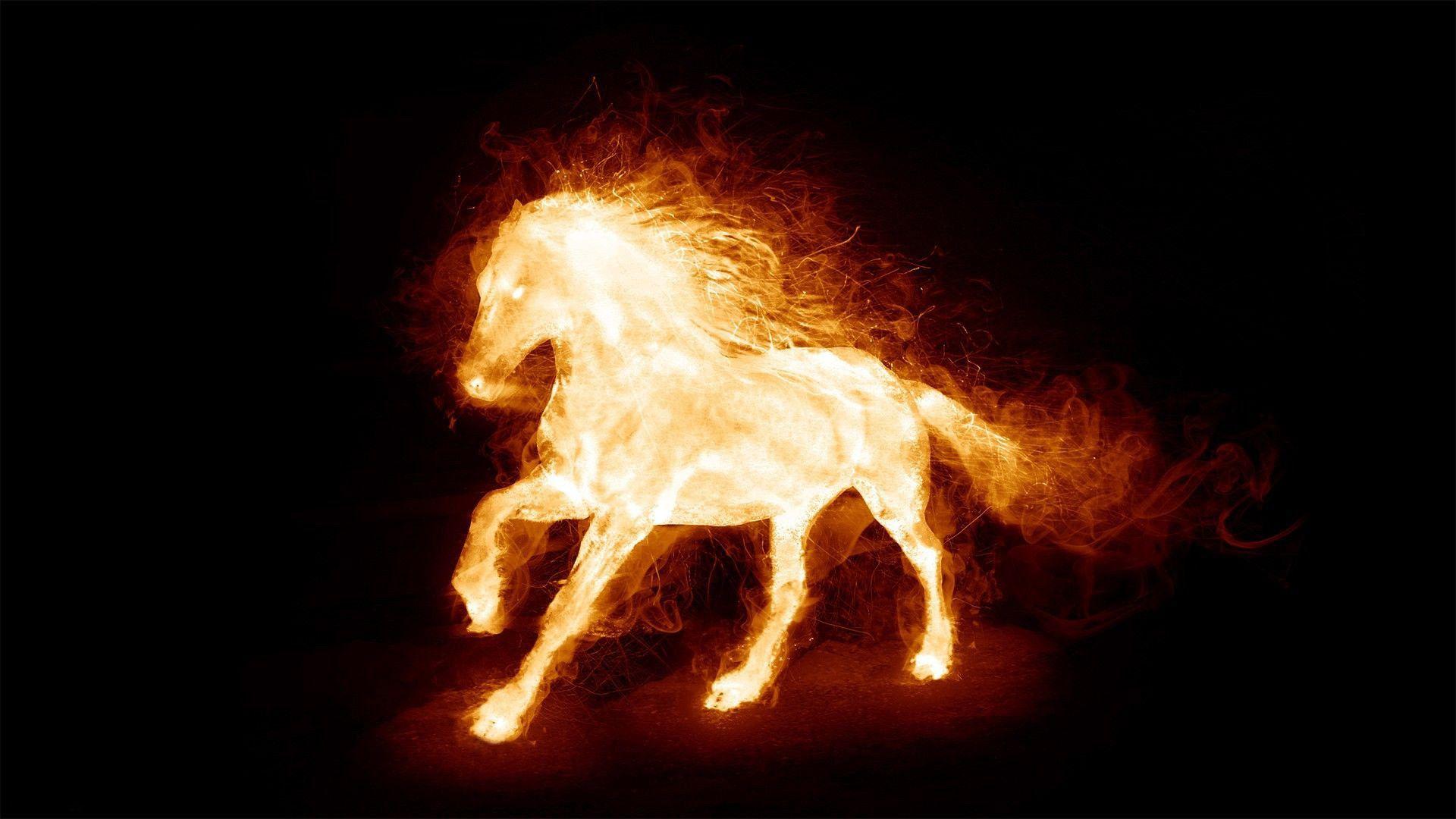 Fire Horse Wallpapers Top Free Fire Horse Backgrounds WallpaperAccess