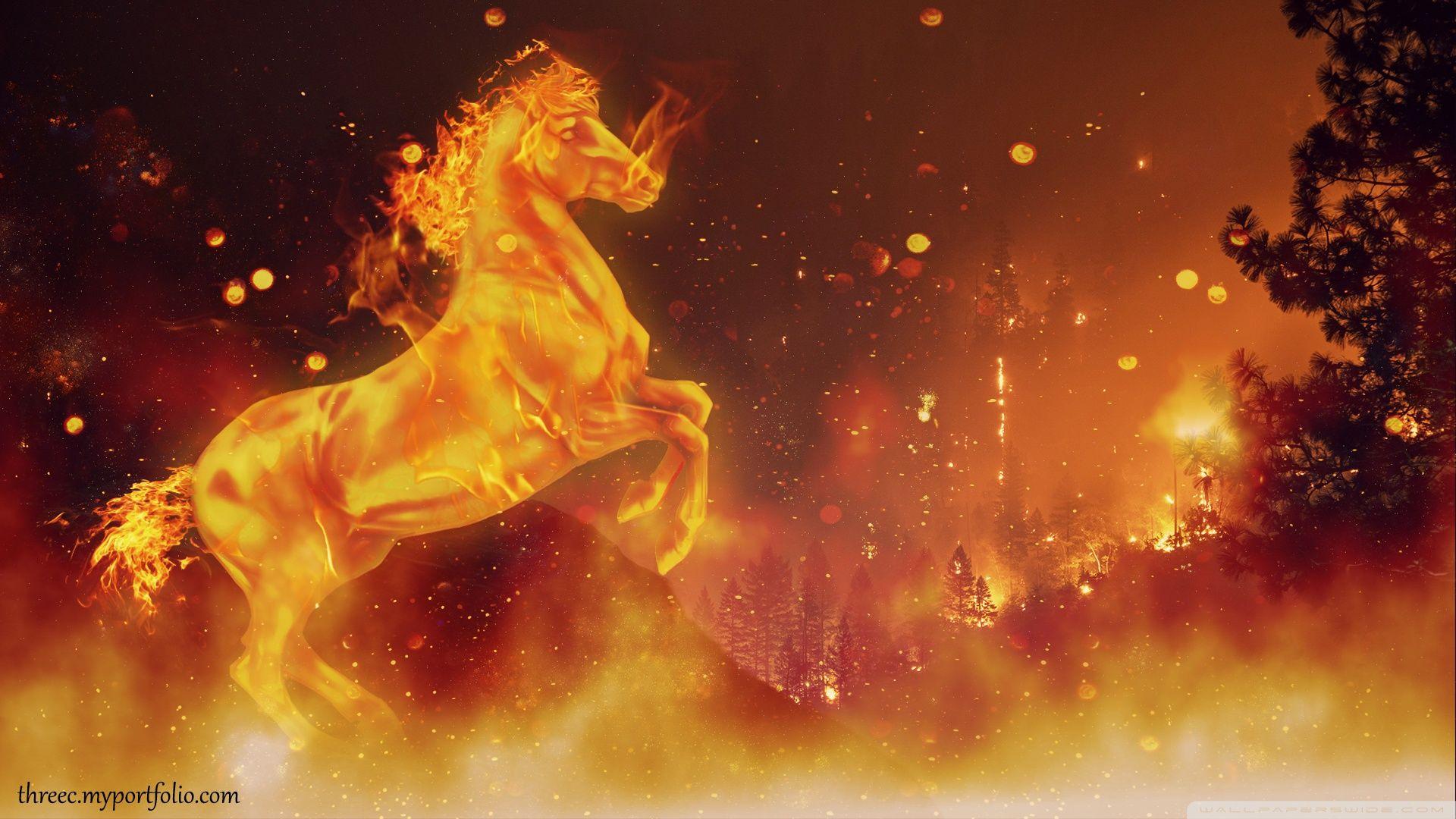 Fire Horse Wallpapers Top Free Fire Horse Backgrounds WallpaperAccess
