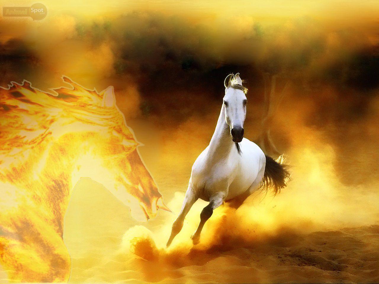 Fire Horse Wallpapers Top Free Fire Horse Backgrounds WallpaperAccess