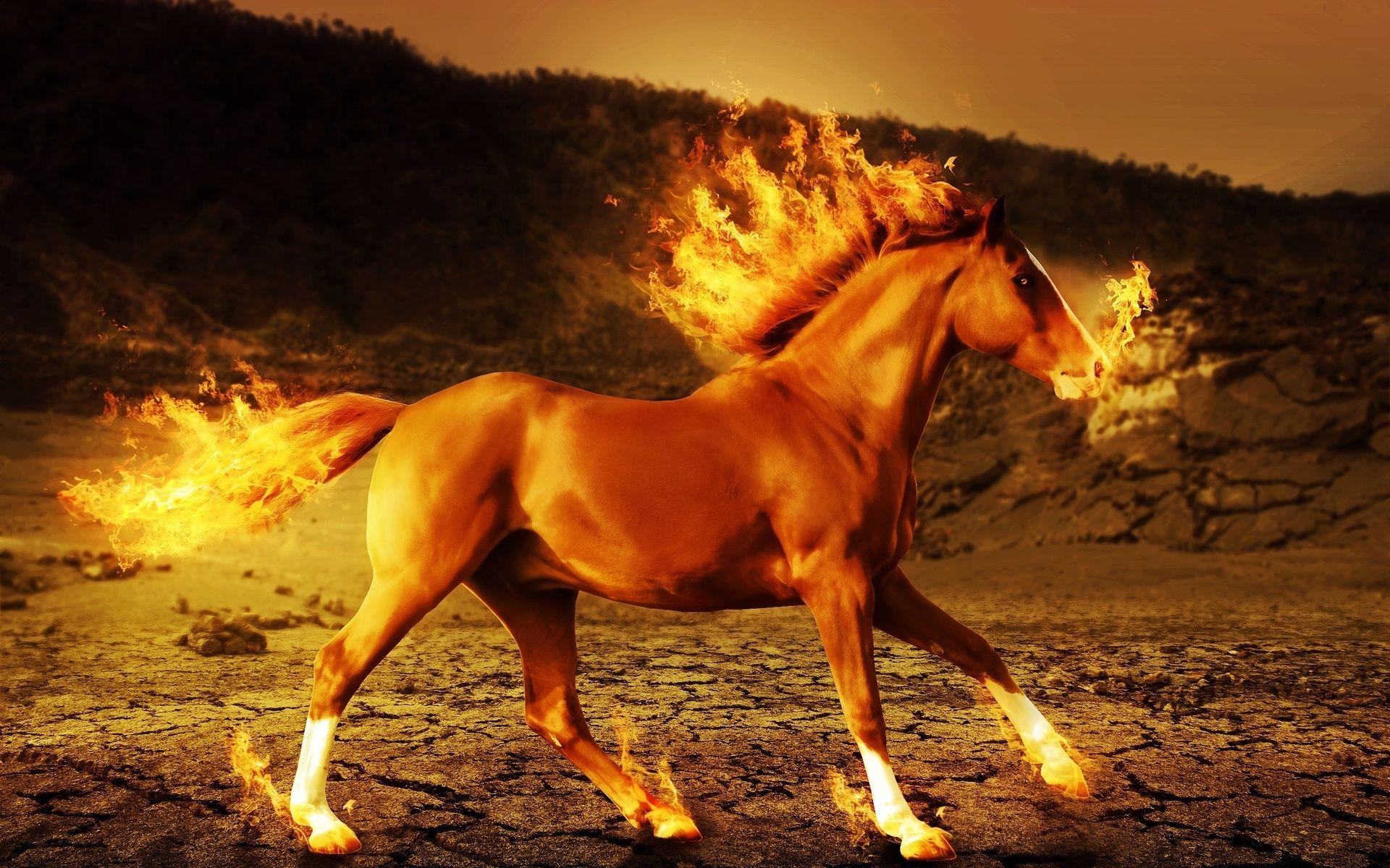Fire Horse Wallpapers Top Free Fire Horse Backgrounds WallpaperAccess