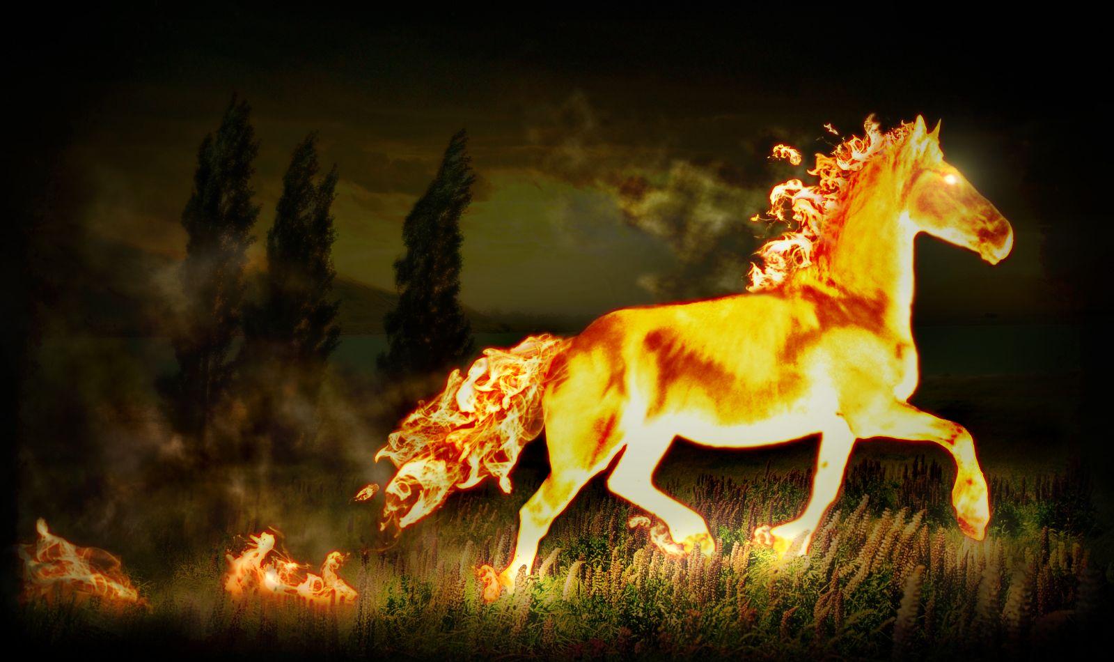 Fire Horse Wallpapers Top Free Fire Horse Backgrounds WallpaperAccess