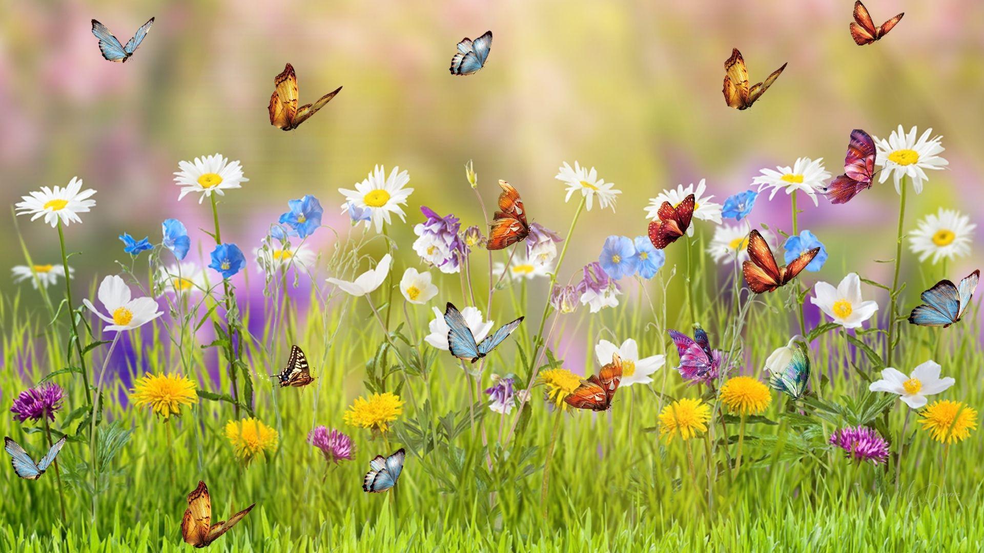 Butterfly Garden Wallpapers Top Free Butterfly Garden Backgrounds WallpaperAccess