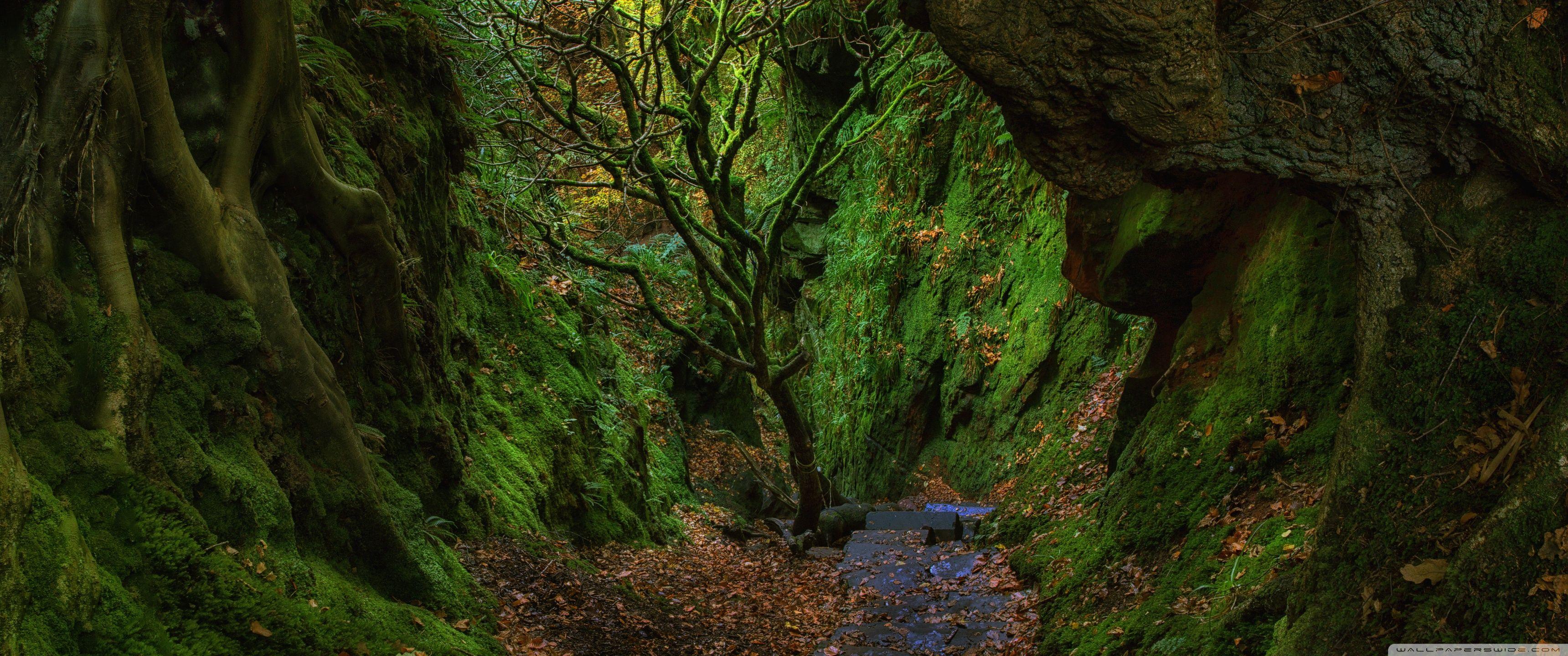 Ultra Wide HD Nature Wallpapers Top Free Ultra Wide HD Nature