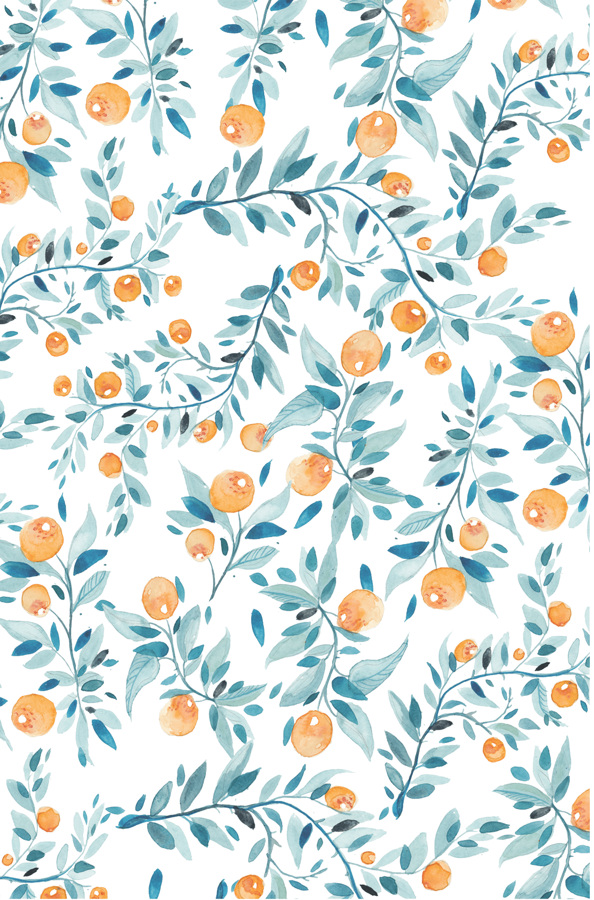 Vintage Fruit Wallpapers Top Free Vintage Fruit Backgrounds