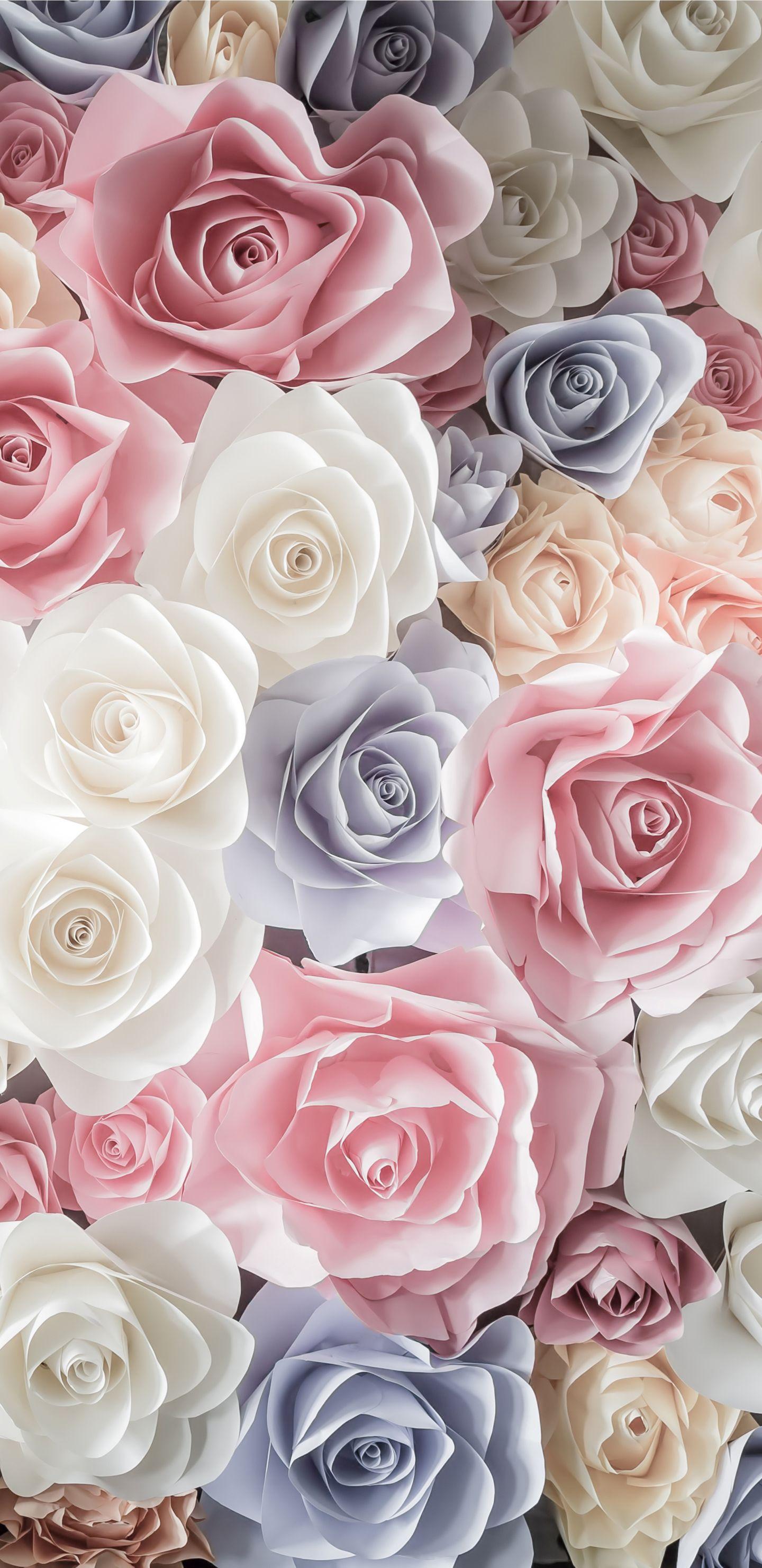 Pastel Roses Wallpapers Top Free Pastel Roses Backgrounds