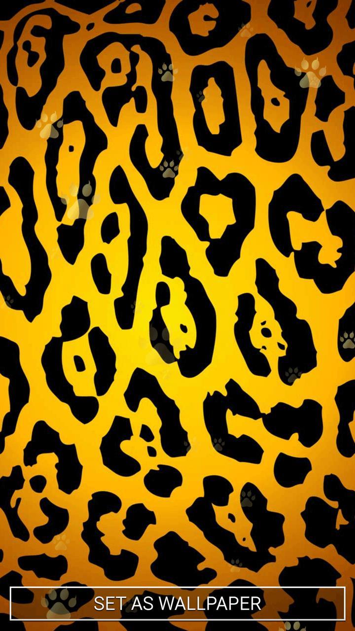 Cheetah Print Wallpapers Top Free Cheetah Print Backgrounds