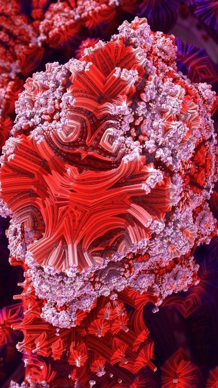 Coral Color Wallpapers Top Free Coral Color Backgrounds WallpaperAccess