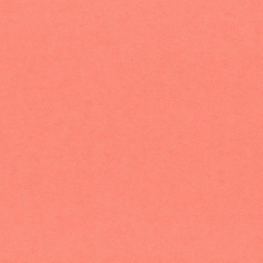 Coral Color Wallpapers Top Free Coral Color Backgrounds WallpaperAccess