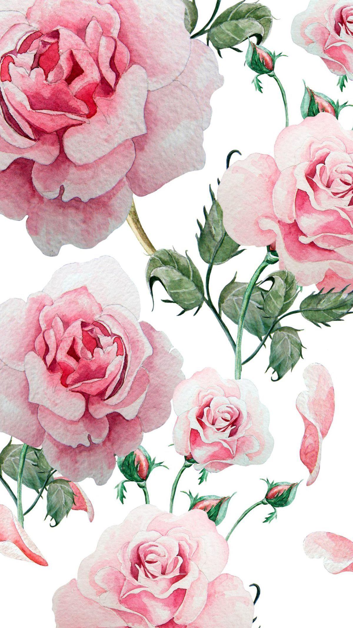 Gold and Pink Flowers Wallpapers Top Free Gold and Pink Flowers