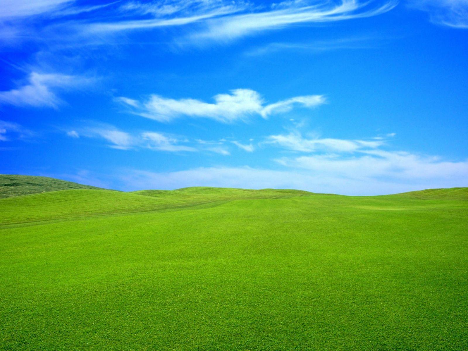 Grassland Wallpapers Top Free Grassland Backgrounds WallpaperAccess