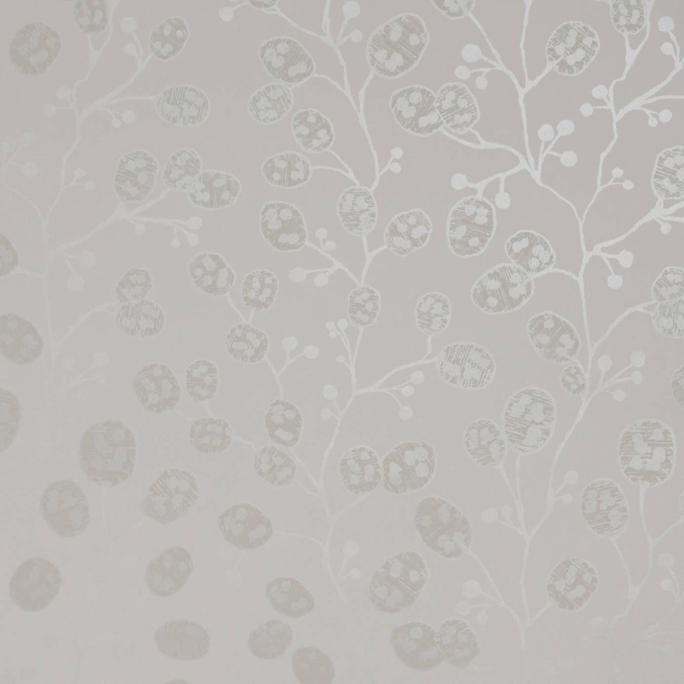 Ivory Wallpapers Top Free Ivory Backgrounds WallpaperAccess