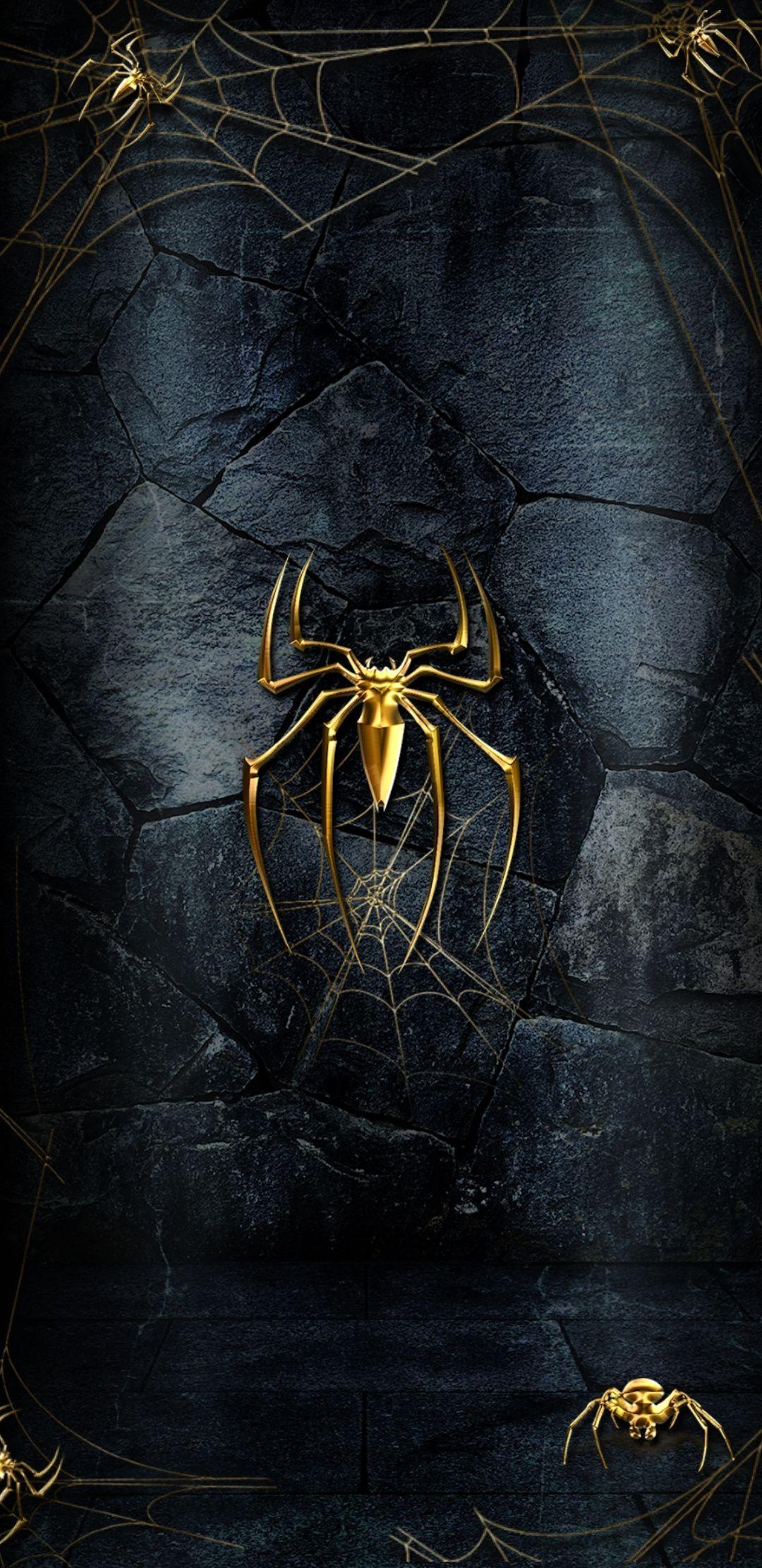 Spider Wallpapers Top Free Spider Backgrounds WallpaperAccess
