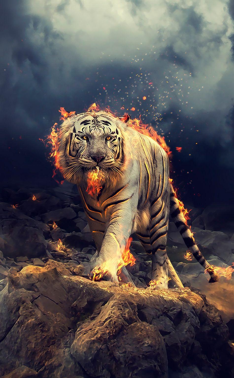 Angry Tiger Wallpapers Top Free Angry Tiger Backgrounds WallpaperAccess