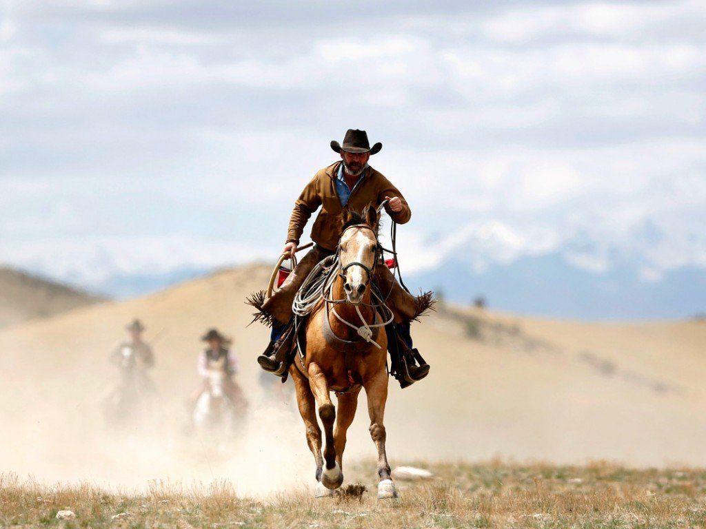 Cowboy Horse Wallpapers Top Free Cowboy Horse Backgrounds WallpaperAccess