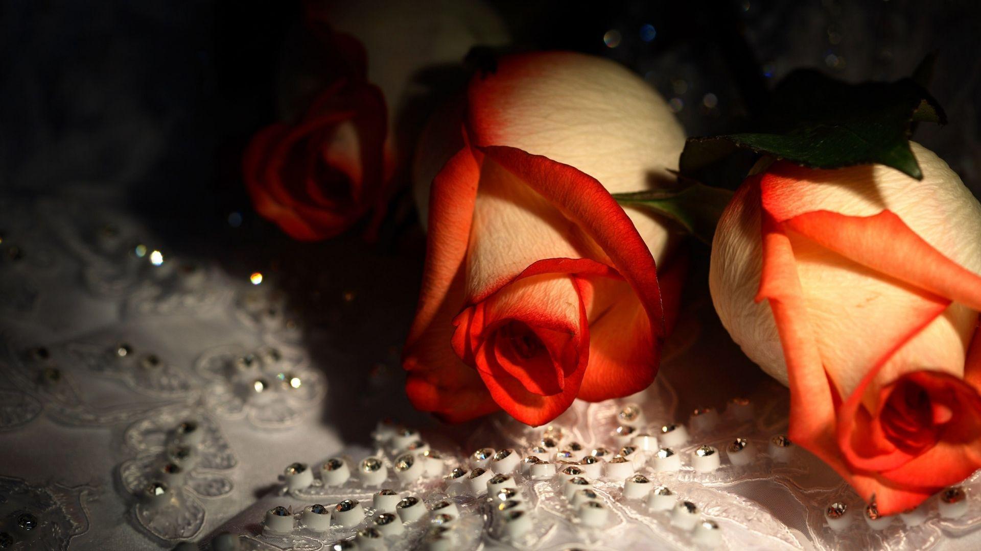 Diamond & Roses Wallpapers Top Free Diamond & Roses Backgrounds