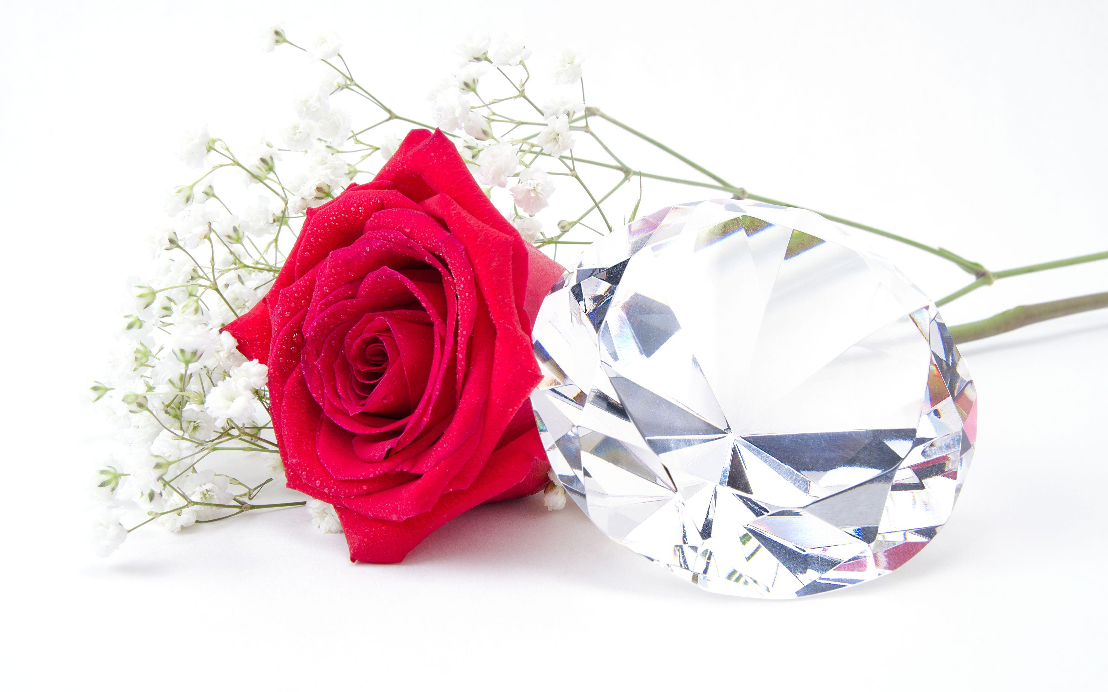 Diamond & Roses Wallpapers Top Free Diamond & Roses Backgrounds