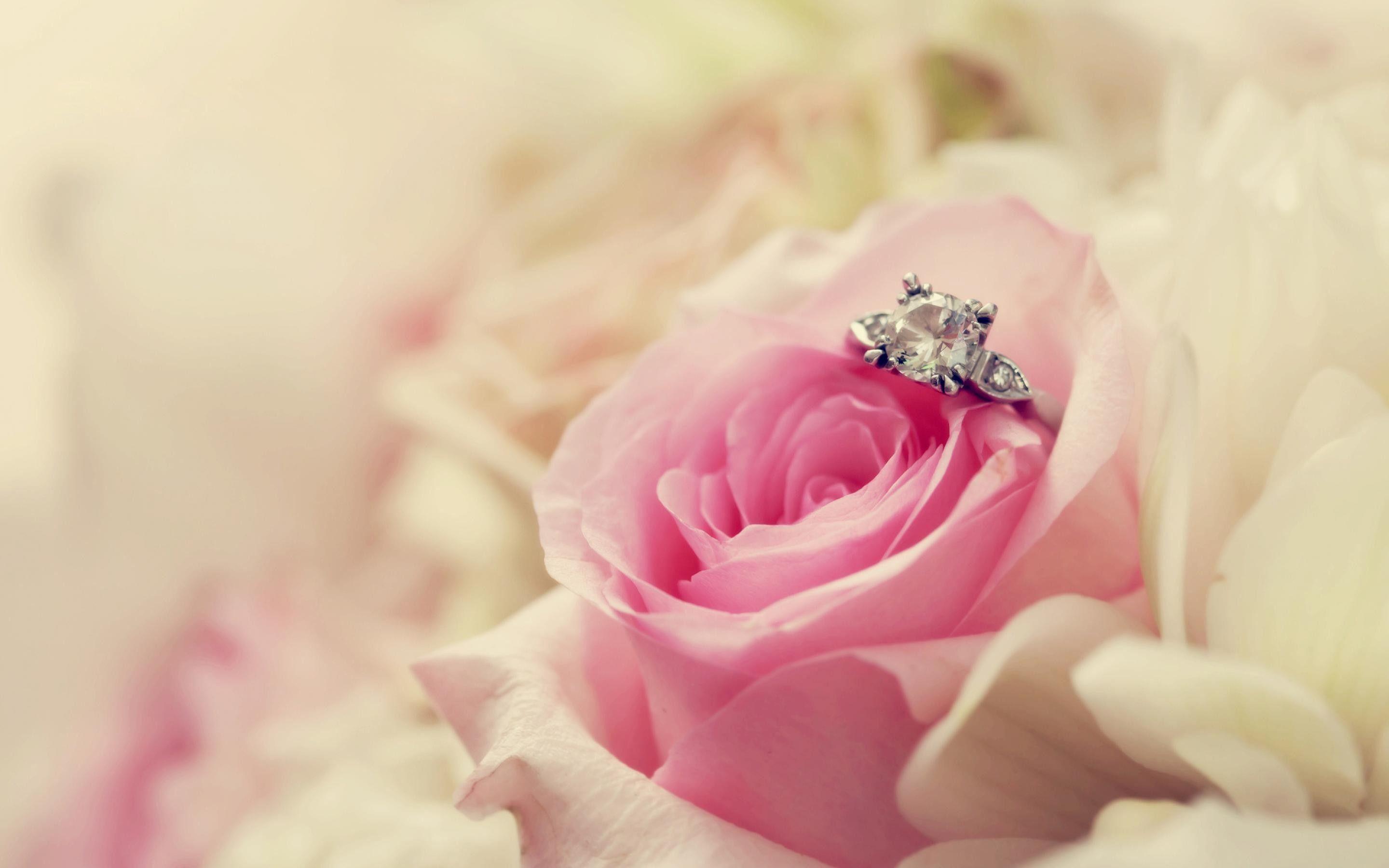 Diamond & Roses Wallpapers Top Free Diamond & Roses Backgrounds