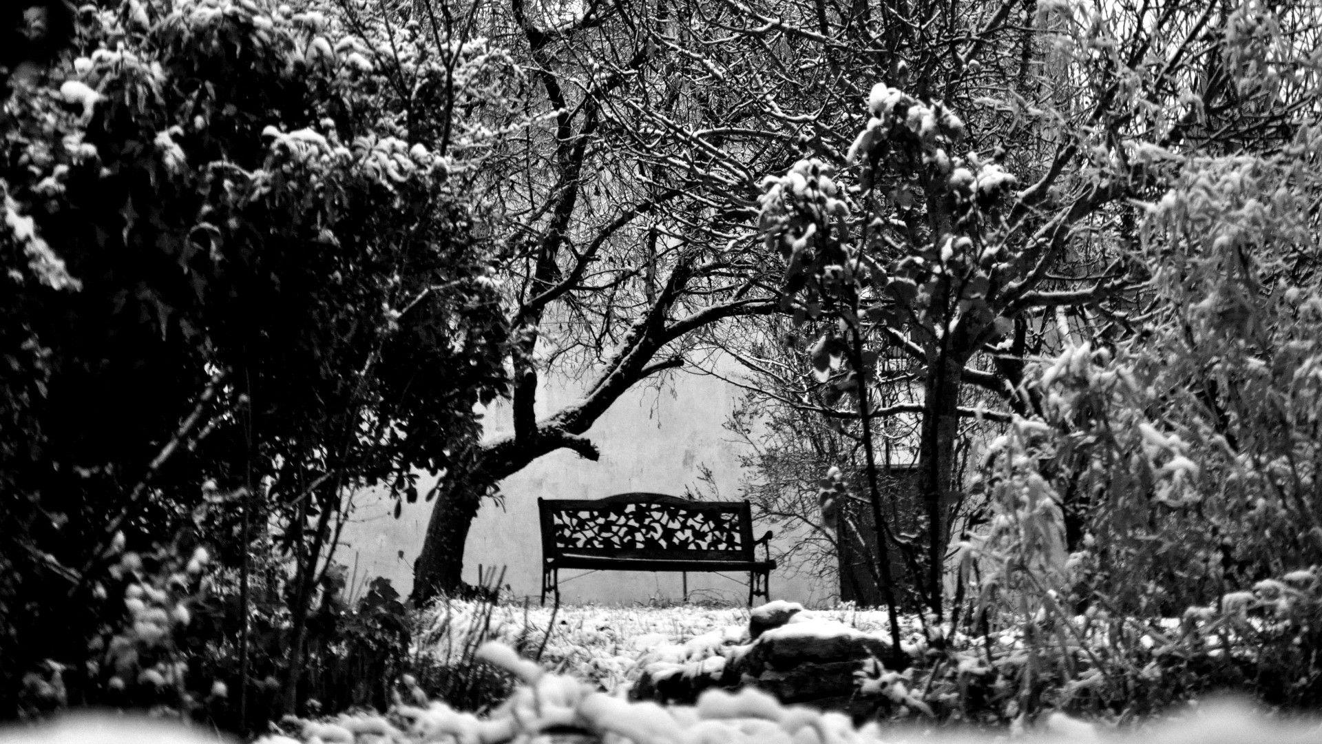 Black and White Winter Wallpapers Top Free Black and White Winter