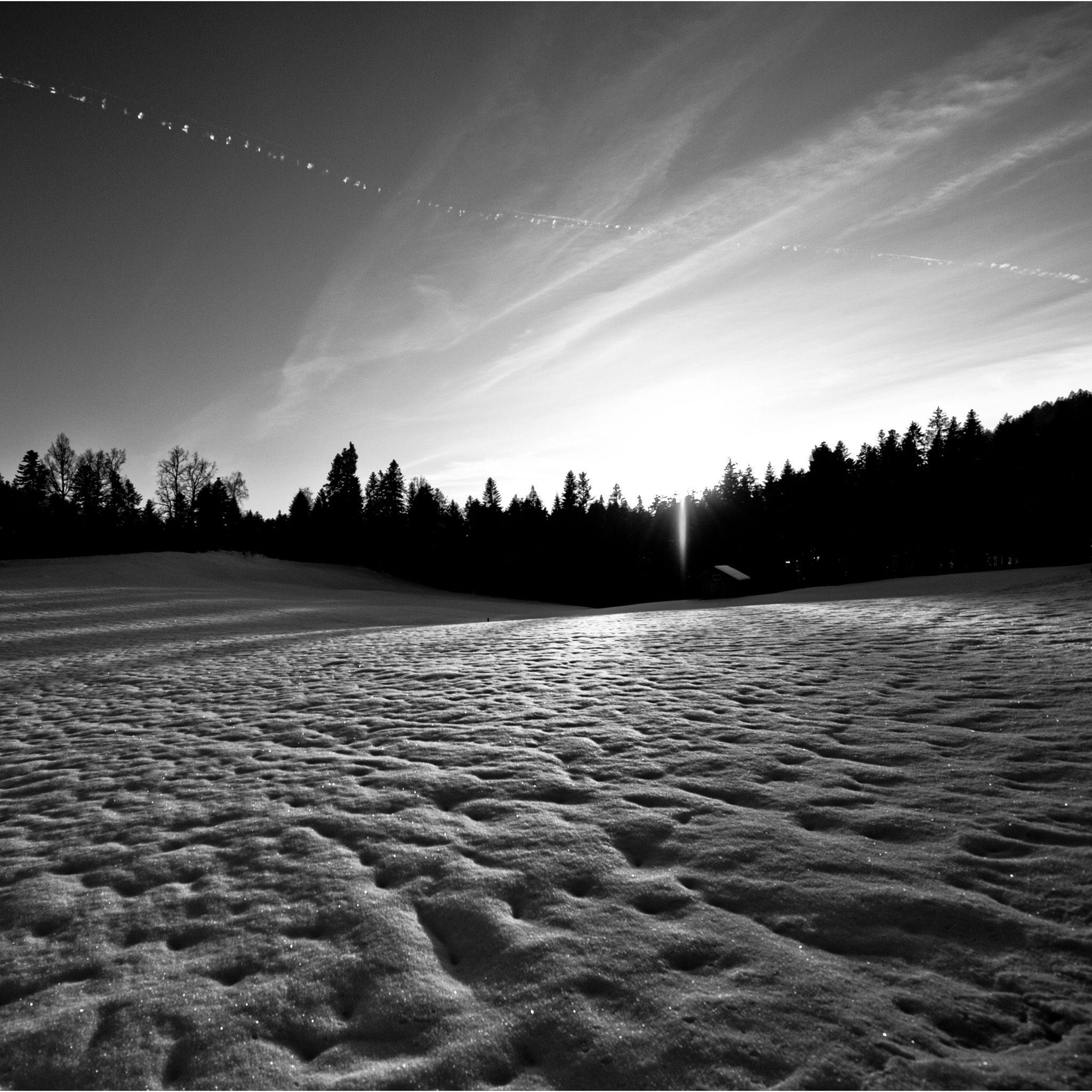 Black and White Winter Wallpapers Top Free Black and White Winter