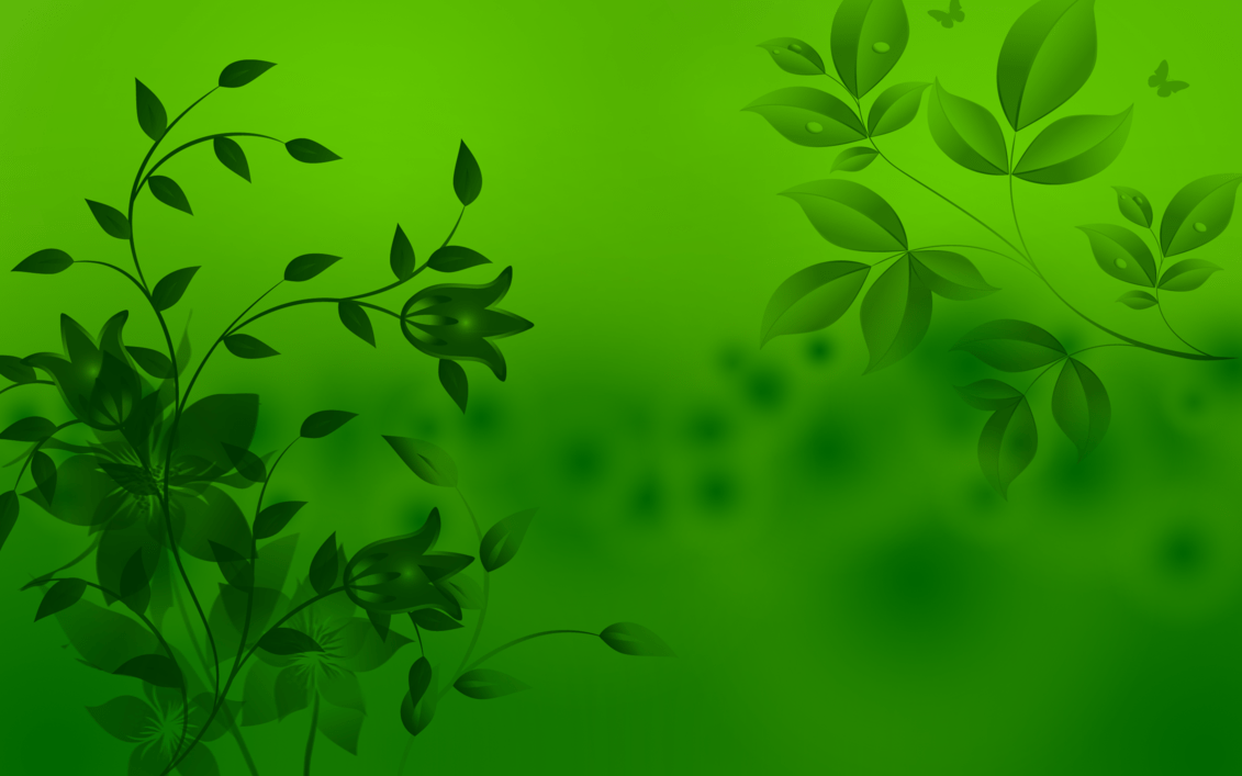 Green Full HD Wallpapers Top Free Green Full HD Backgrounds