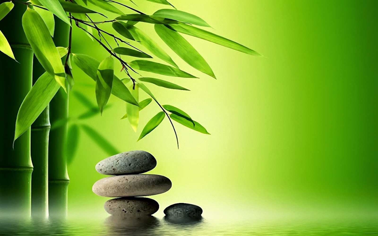 Zen Meditation Wallpapers Top Free Zen Meditation Backgrounds