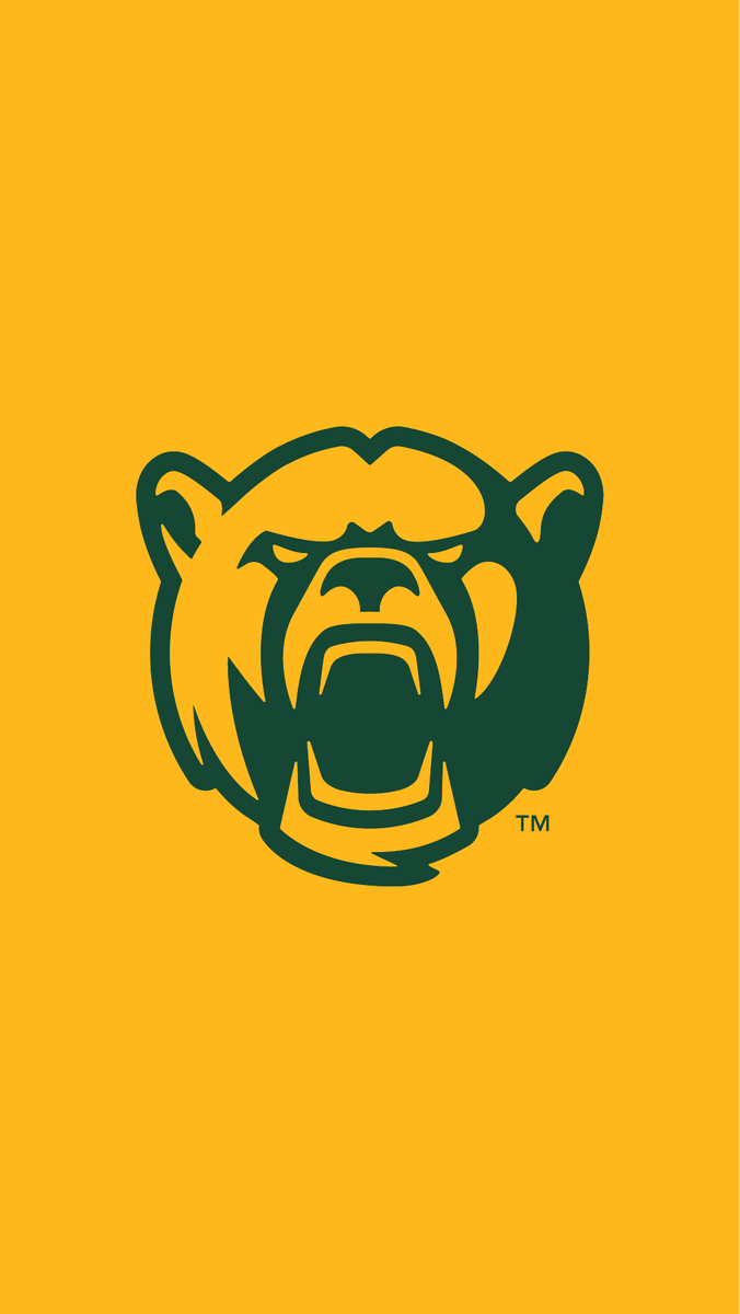 Baylor Wallpapers Top Free Baylor Backgrounds WallpaperAccess