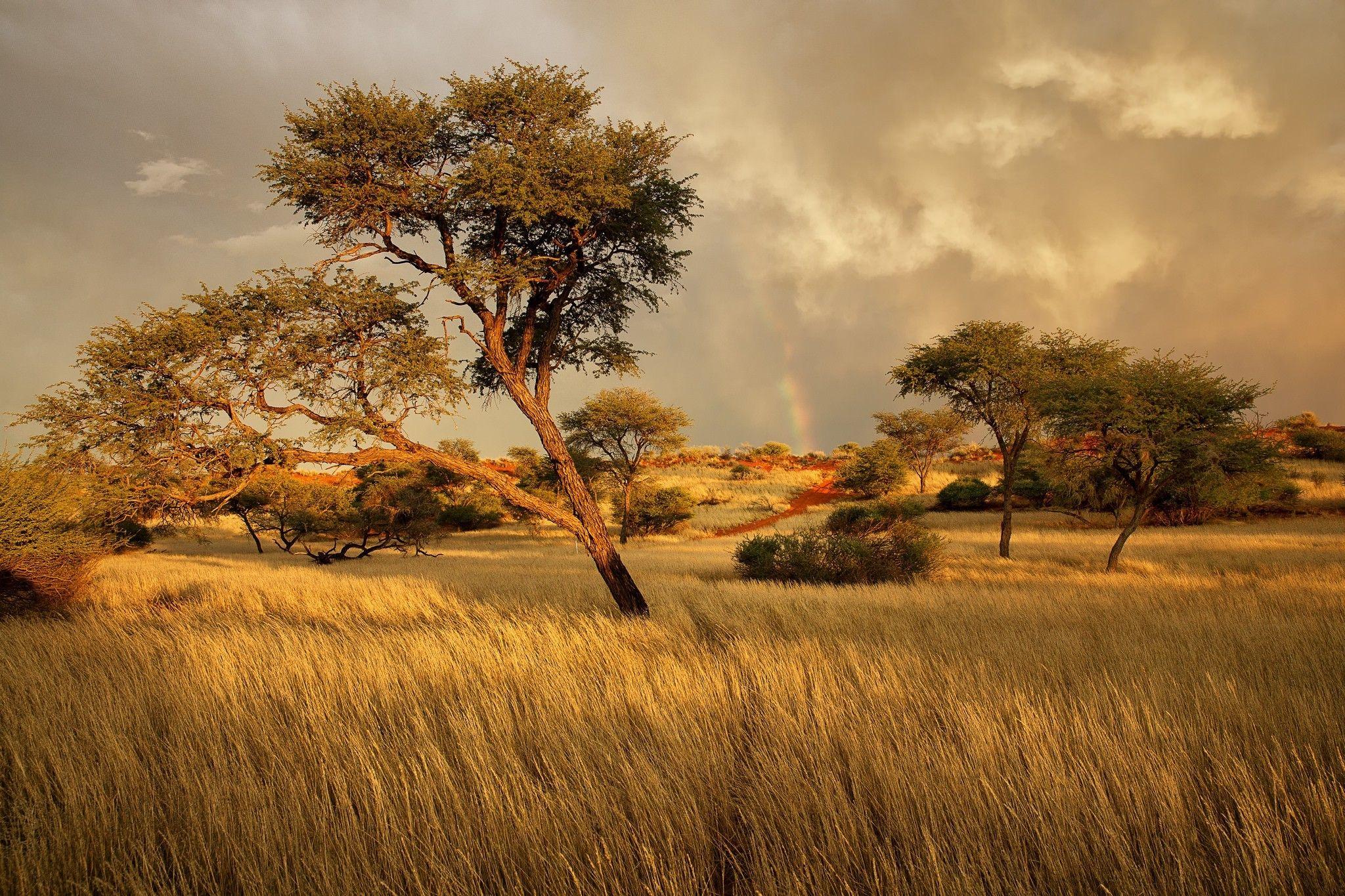 African Landscape Wallpapers Top Free African Landscape Backgrounds