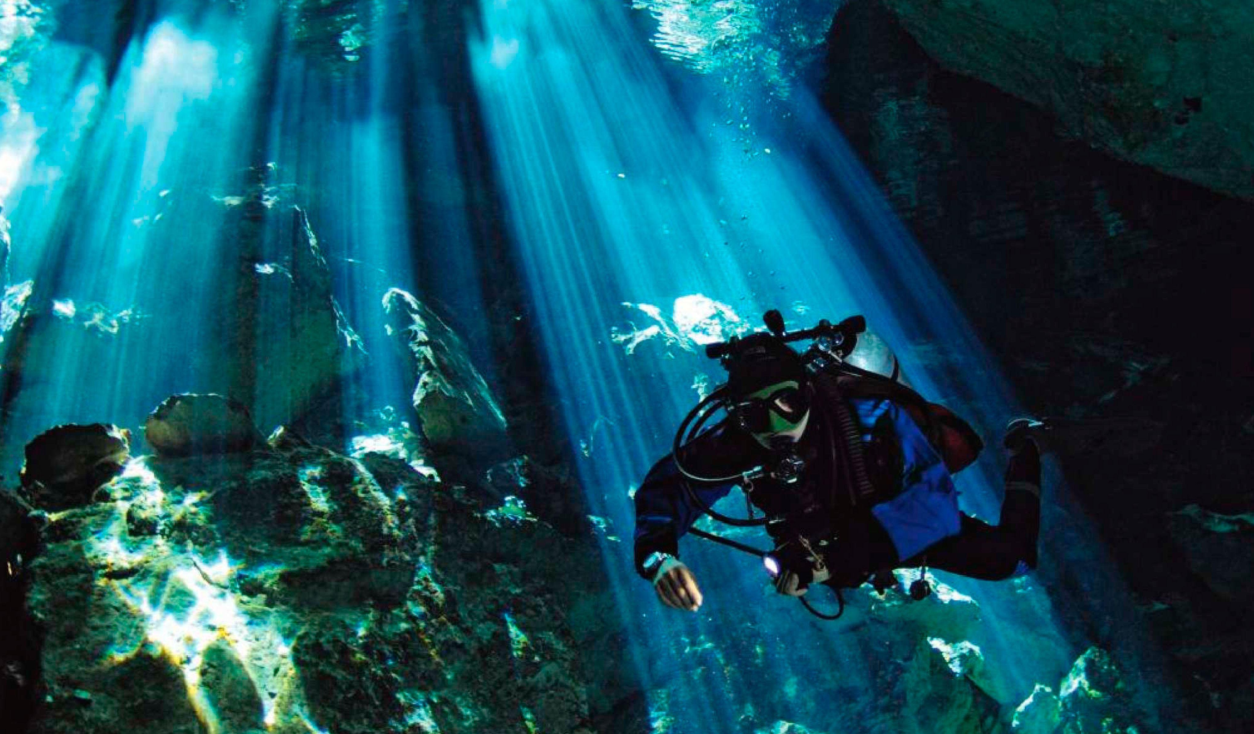 Scuba Diving Wallpapers Top Free Scuba Diving Backgrounds